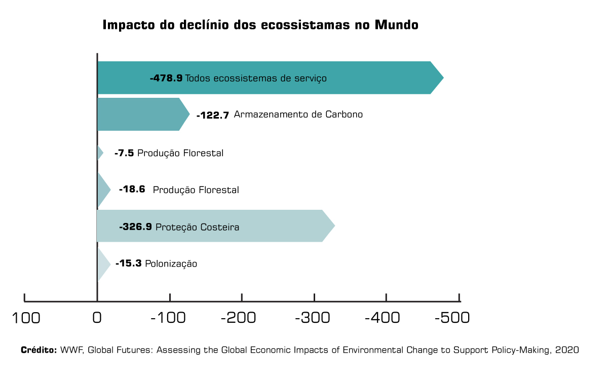 biodiversidade gráfico 2